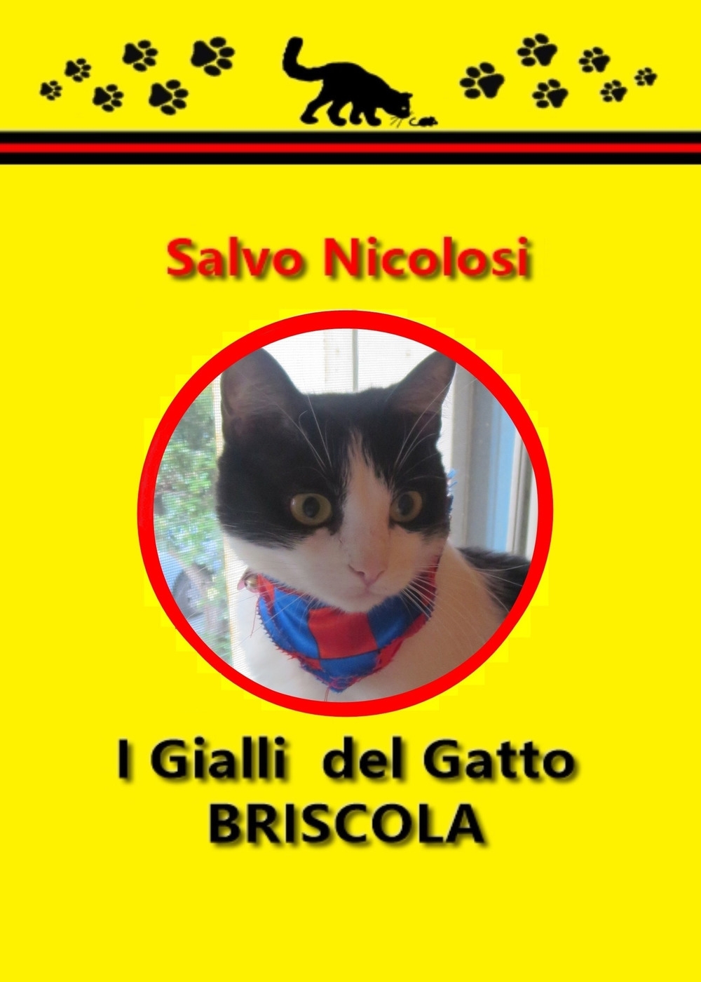 I gialli del gatto Briscola I gialli del gatto Briscola