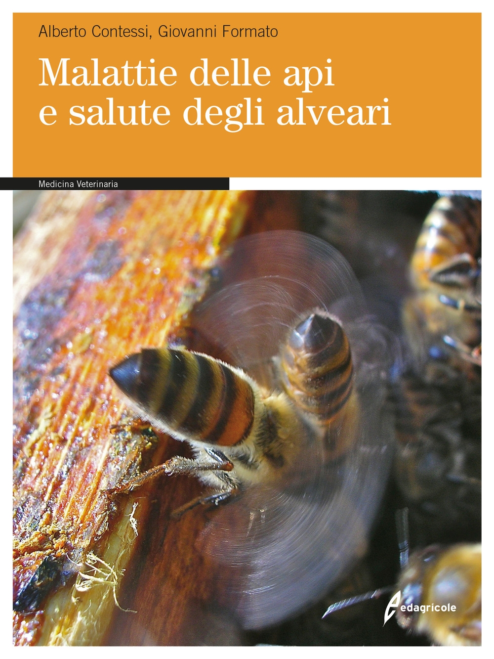 Malattie delle api e salute degli alveari Malattie delle api e salute degli alveari