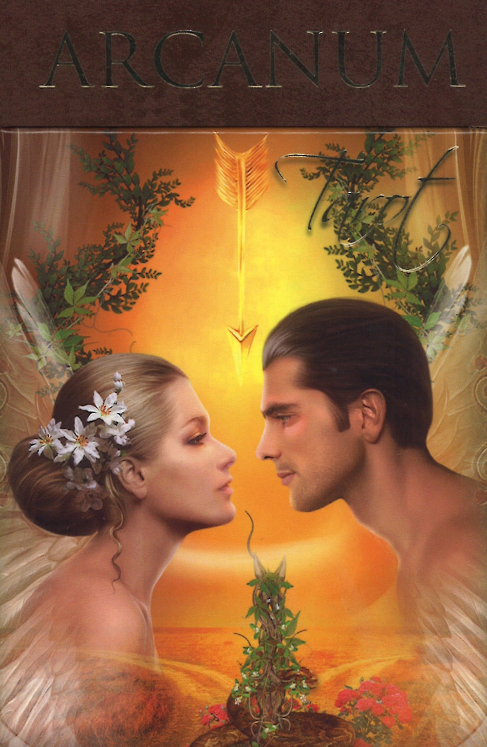 Arcanum tarot. Ediz. multilingue. Con 78 carte Arcanum tarot. Ediz. multilingue. Con 78 carte