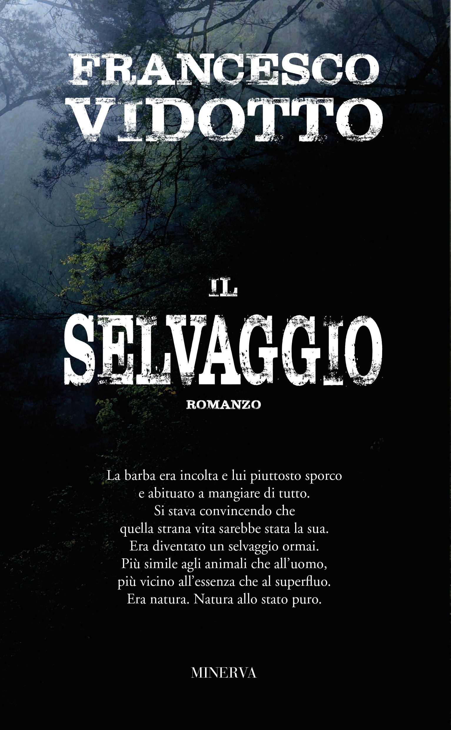 Il selvaggio Il selvaggio