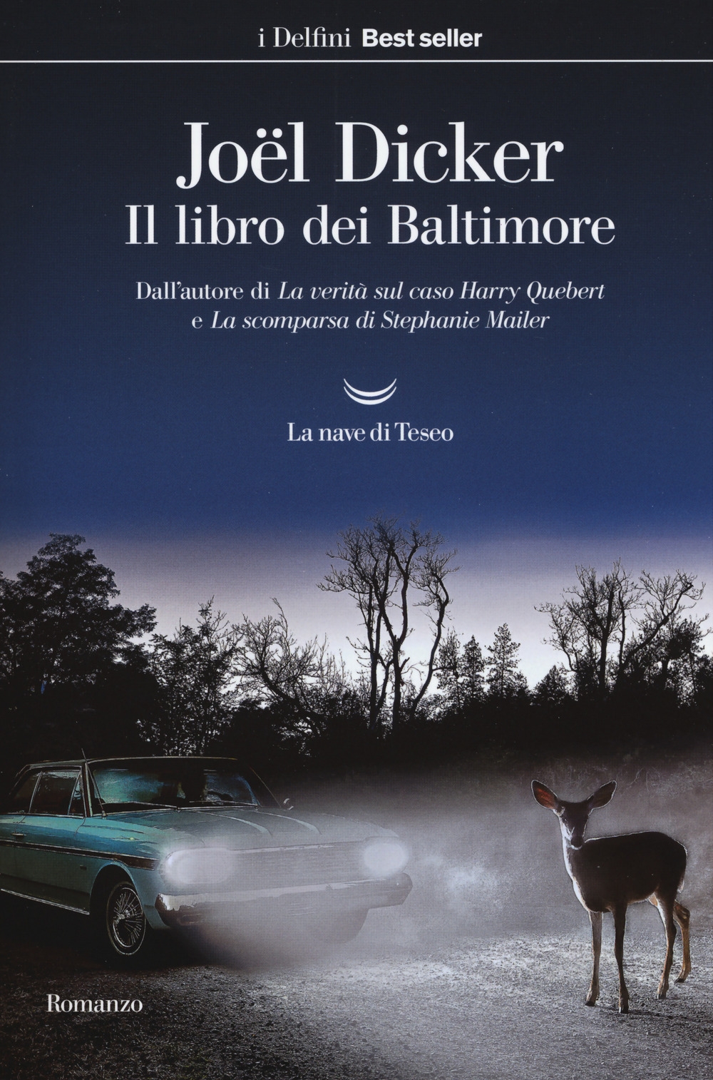 Il libro dei Baltimore Il libro dei Baltimore