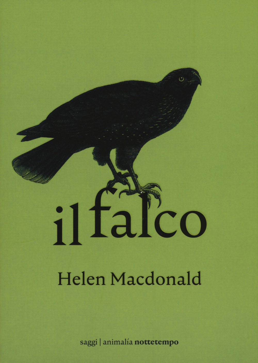 Il falco Il falco