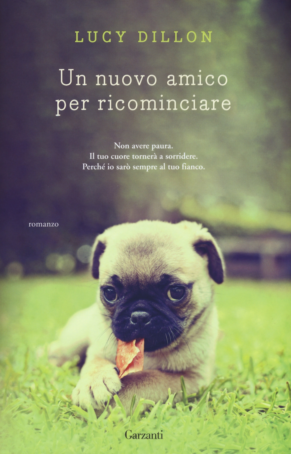 Un nuovo amico per ricominciare Un nuovo amico per ricominciare