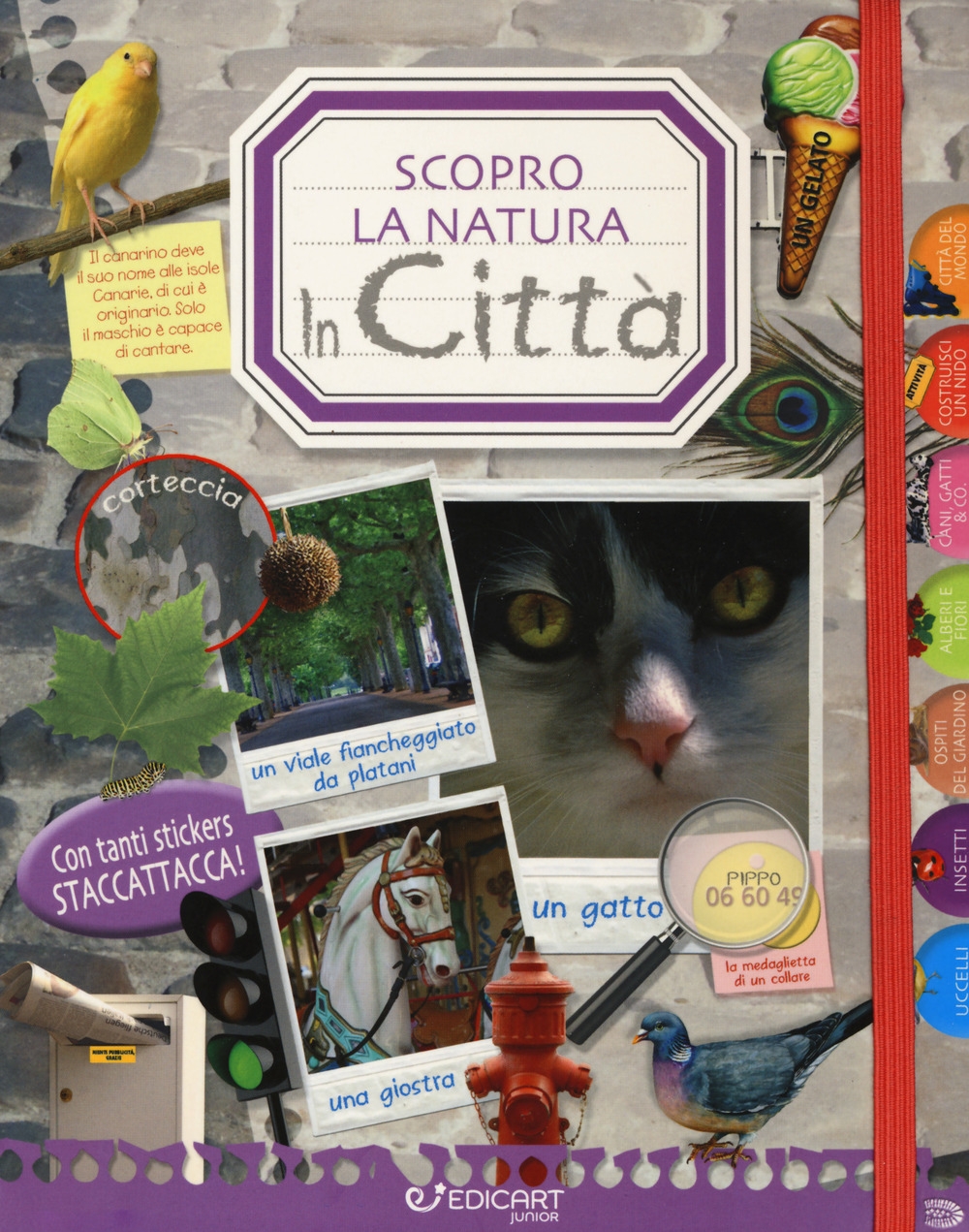 In città. Scopro la natura. Con adesivi In città. Scopro la natura. Con adesivi