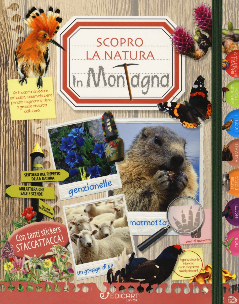 In montagna. Scopro la natura. Con adesivi In montagna. Scopro la natura. Con adesivi