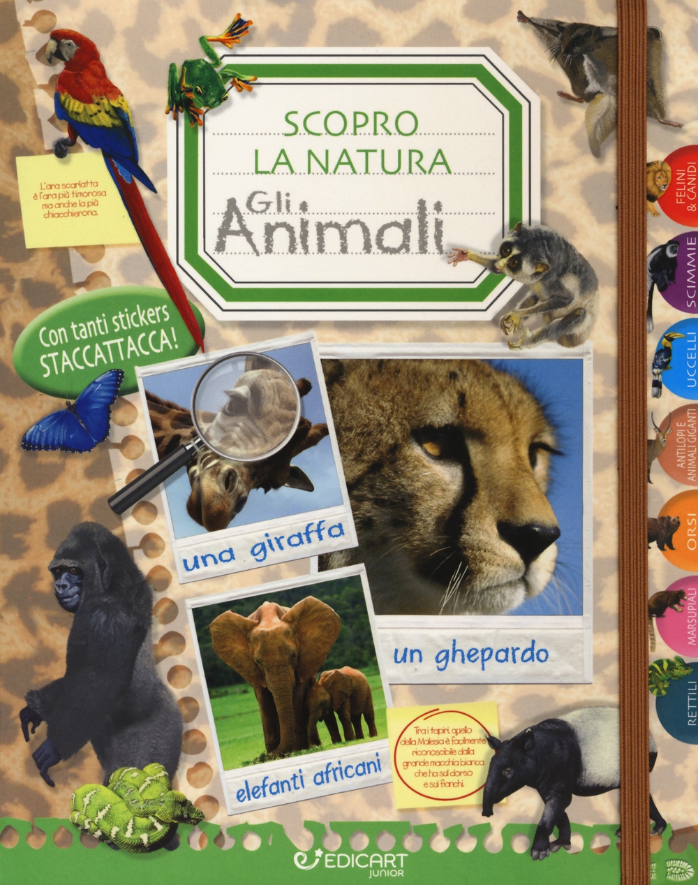 Gli animali. Scopro la natura. Con adesivi Gli animali. Scopro la natura. Con adesivi