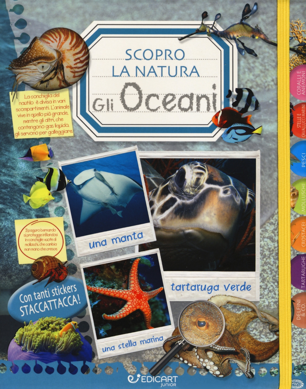 Gli oceani. Scopro la natura. Con adesivi Gli oceani. Scopro la natura. Con adesivi