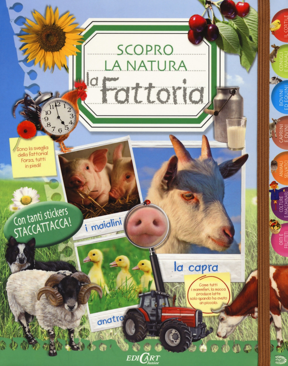 La fattoria. Scopro la natura. Con adesivi La fattoria. Scopro la natura. Con adesivi