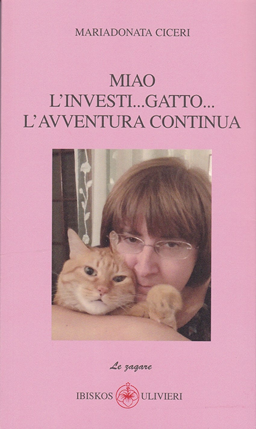 Miao l'investi... gatto... l'avventura continua Miao l'investi... gatto... l'avventura continua