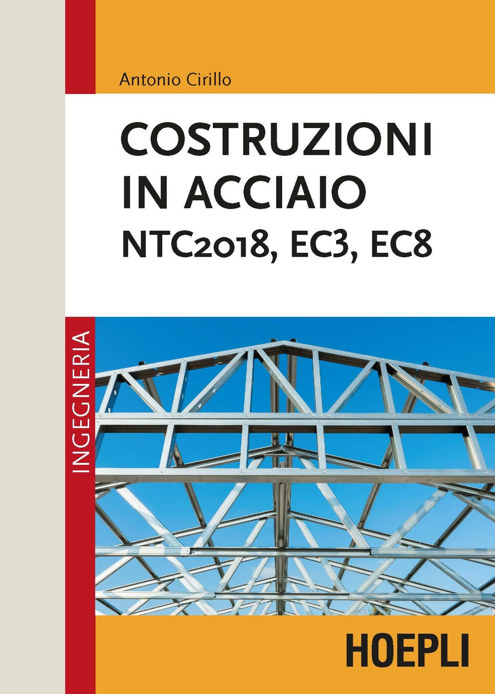 Costruzioni in acciaio. NTC2018, EC3, EC8 Costruzioni in acciaio. NTC2018, EC3, EC8