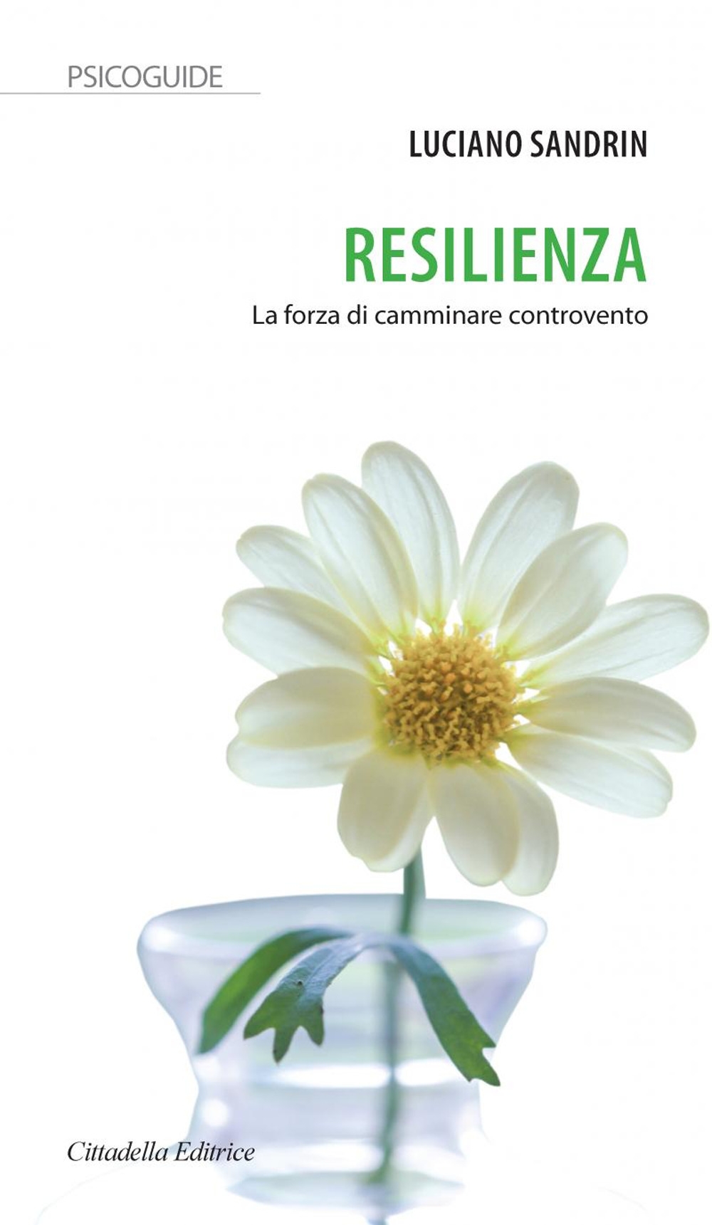 Resilienza. La forza di camminare controvento Resilienza. La forza di camminare controvento
