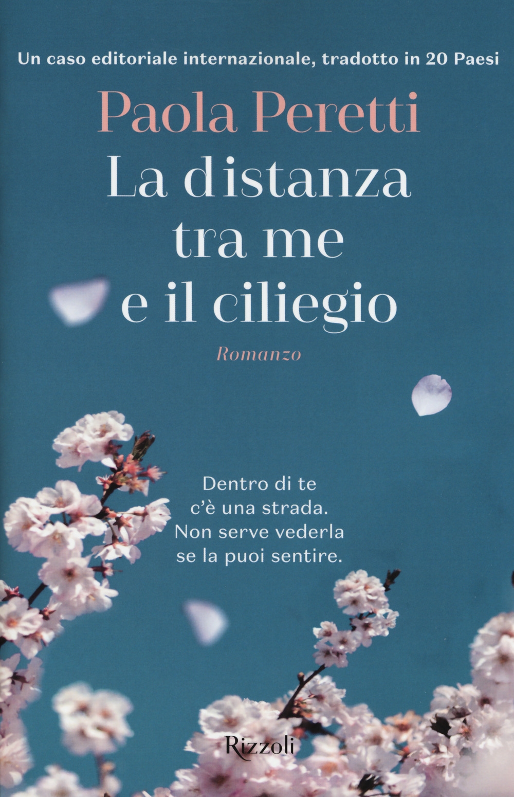 La distanza tra me e il ciliegio La distanza tra me e il ciliegio