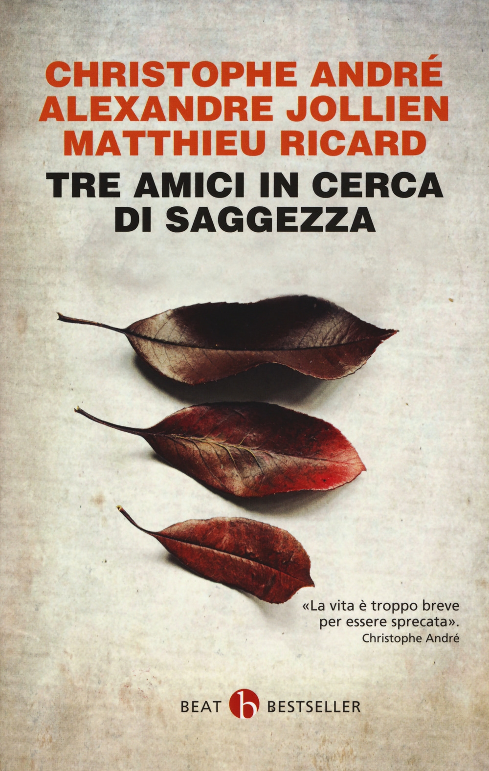 Tre amici in cerca di saggezza. Consigli per una vita felice Tre amici in cerca di saggezza. Consigli per una vita felice