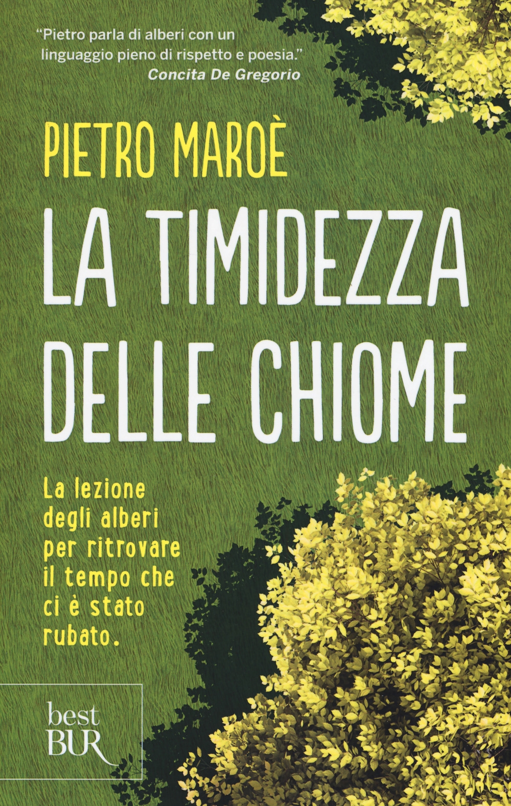 La timidezza delle chiome La timidezza delle chiome