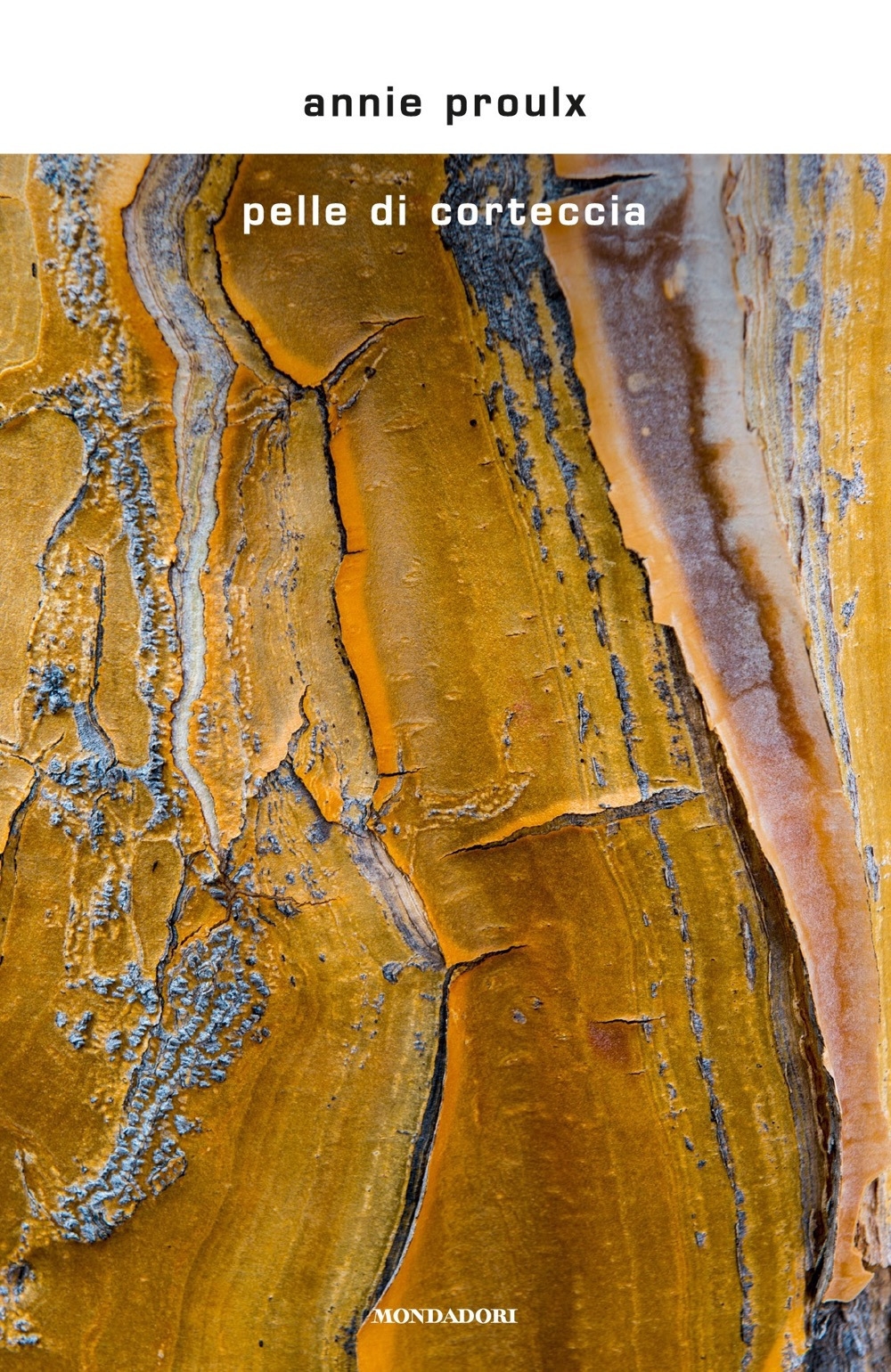 Pelle di corteccia Pelle di corteccia