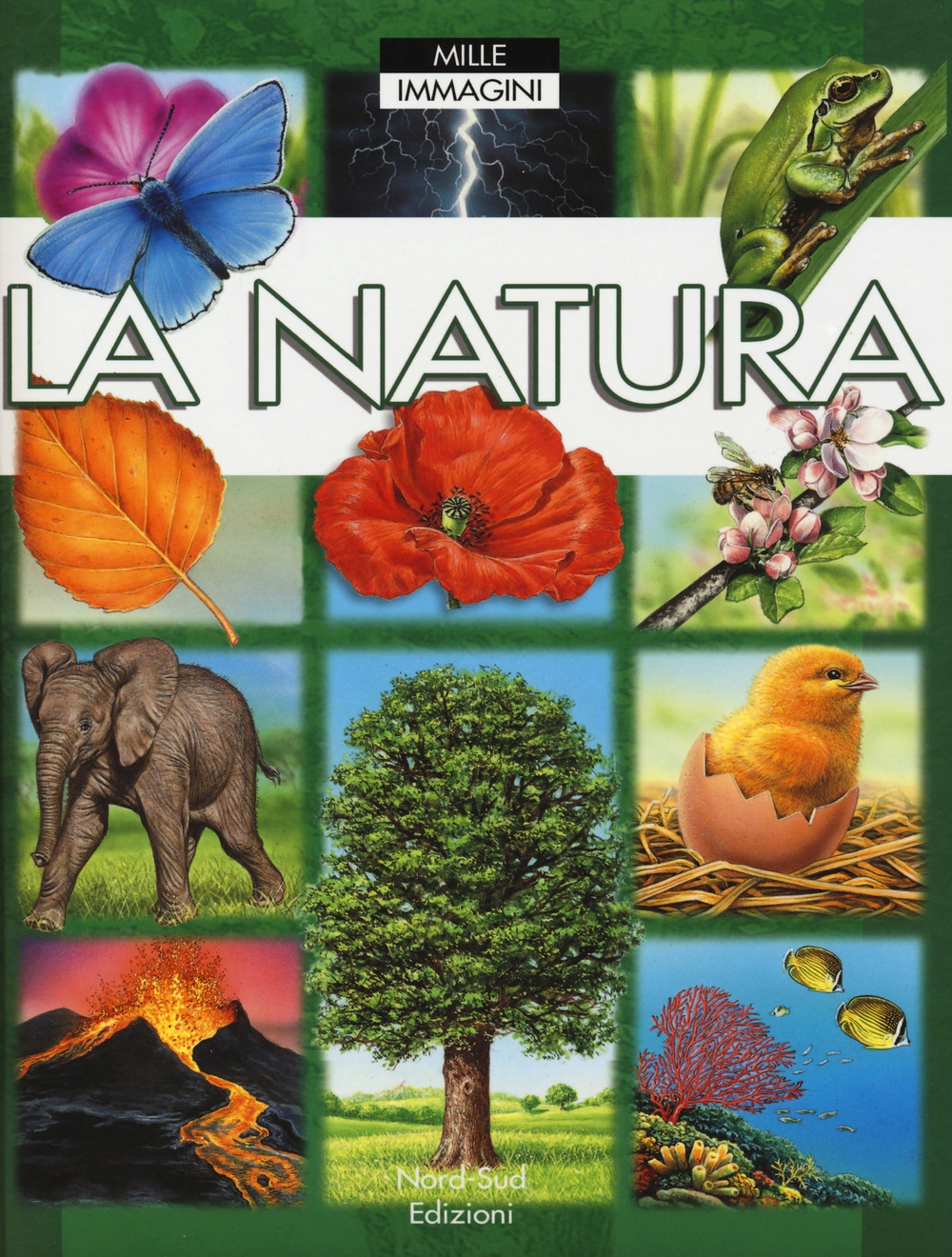La natura. Ediz. a colori La natura. Ediz. a colori