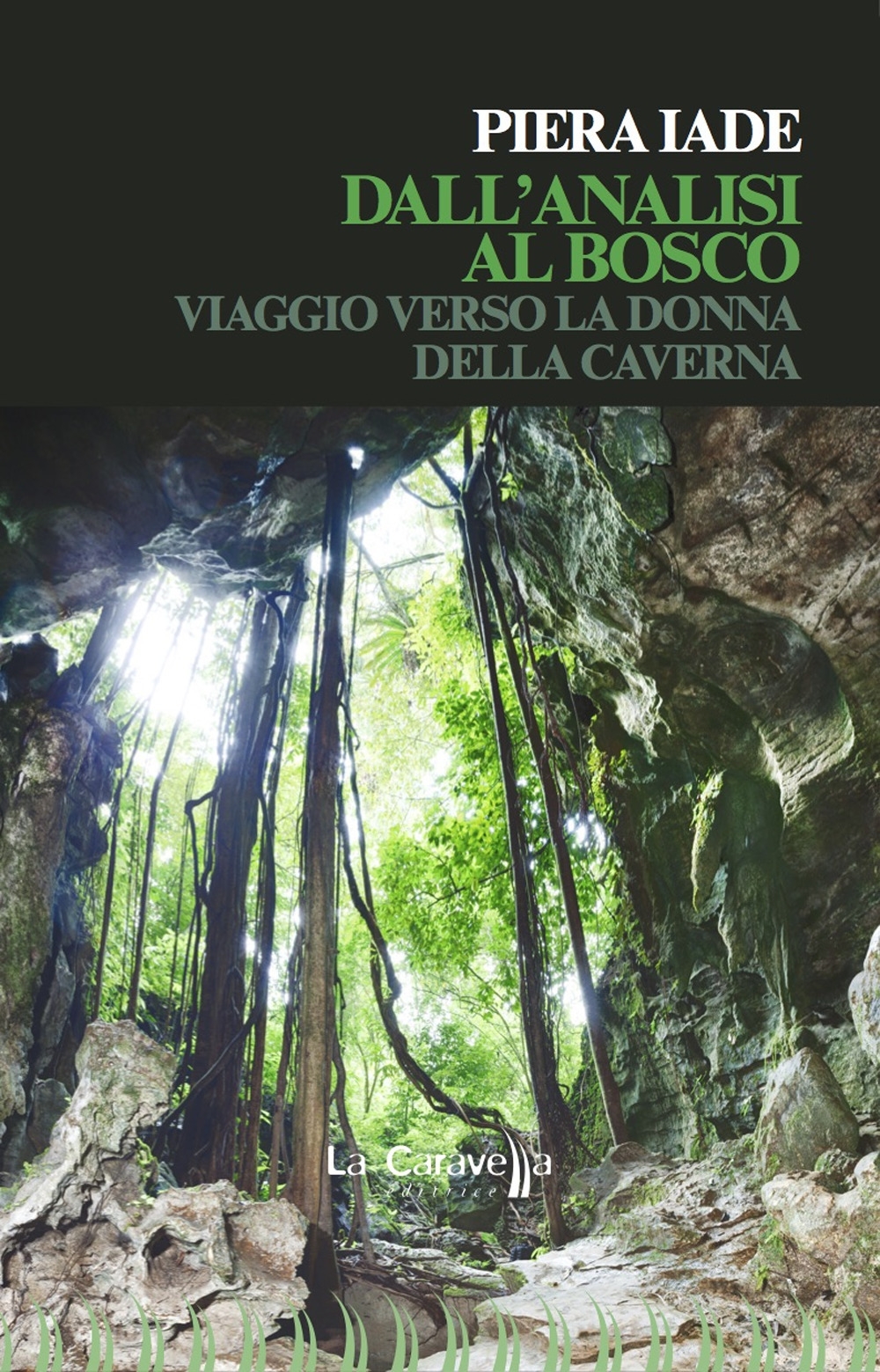 Dall'analisi al bosco Dall'analisi al bosco