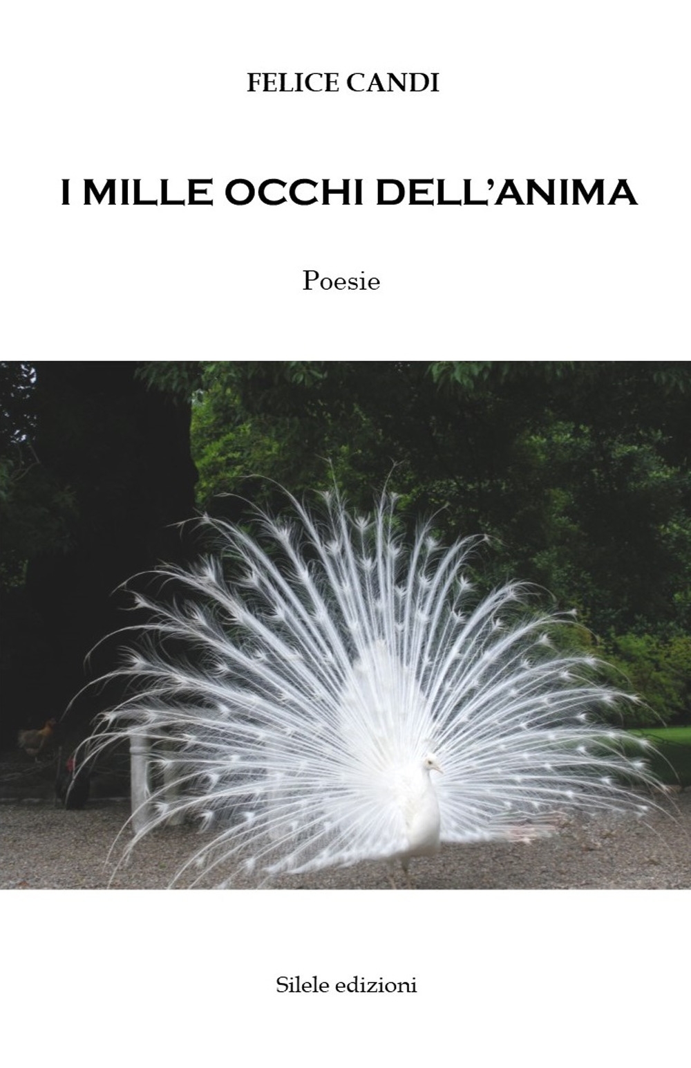 I mille occhi dell'anima I mille occhi dell'anima