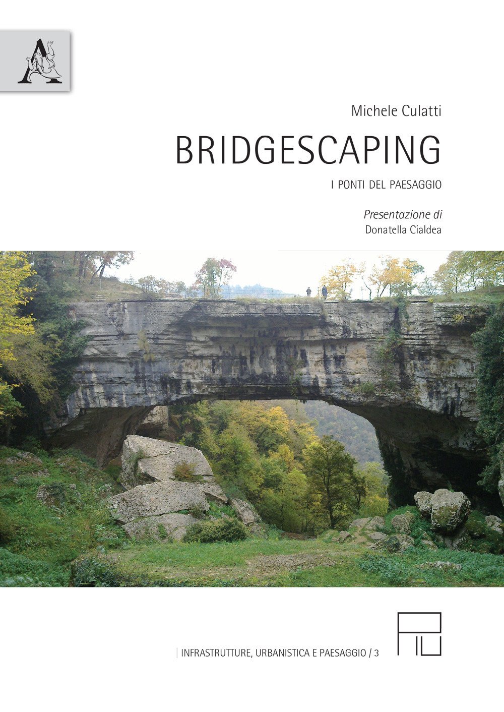 Bridgescaping. I ponti del paesaggio Bridgescaping. I ponti del paesaggio
