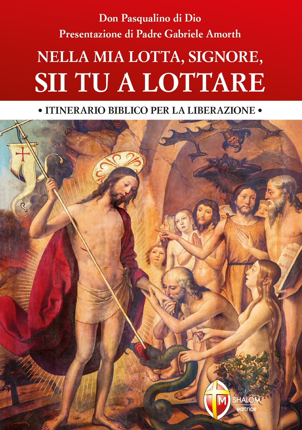 Nella mia lotta, Signore, sii tu a lottare. Itinerario biblico per la liberazione. Ediz. a caratteri grandi Nella mia lotta, Signore, sii tu a lottare. Itinerario biblico per la liberazione. Ediz. a caratteri grandi