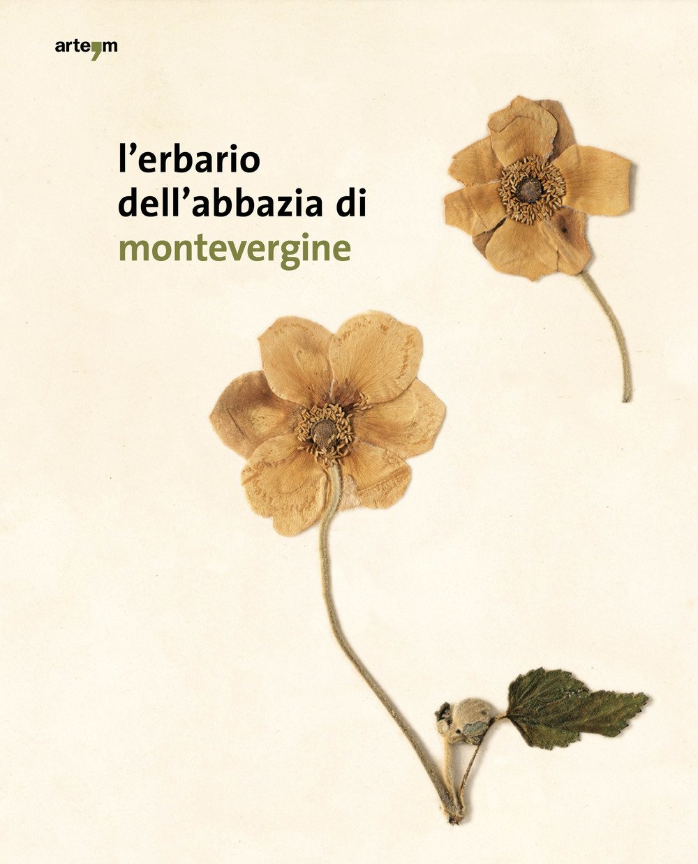 L'Erbario Dell'Abbazia di Montevergine L'Erbario Dell'Abbazia di Montevergine