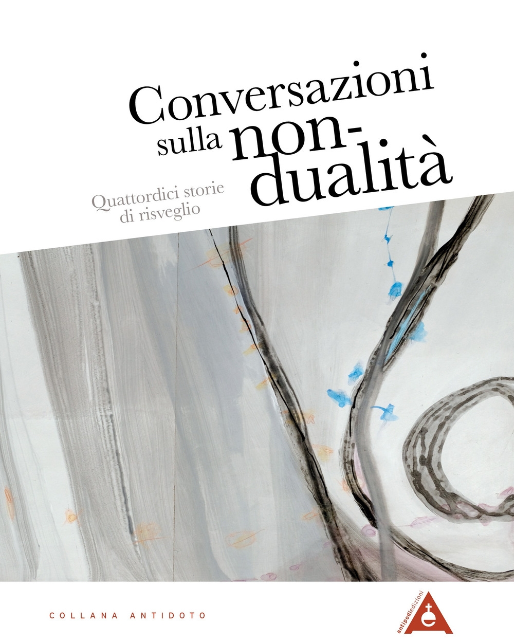 Conversazioni sulla non-dualità. Quattordici storie di risveglio Conversazioni sulla non-dualità. Quattordici storie di risveglio