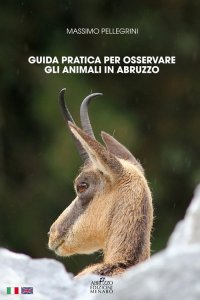 Guida pratica per osservare gli animali in Abruzzo