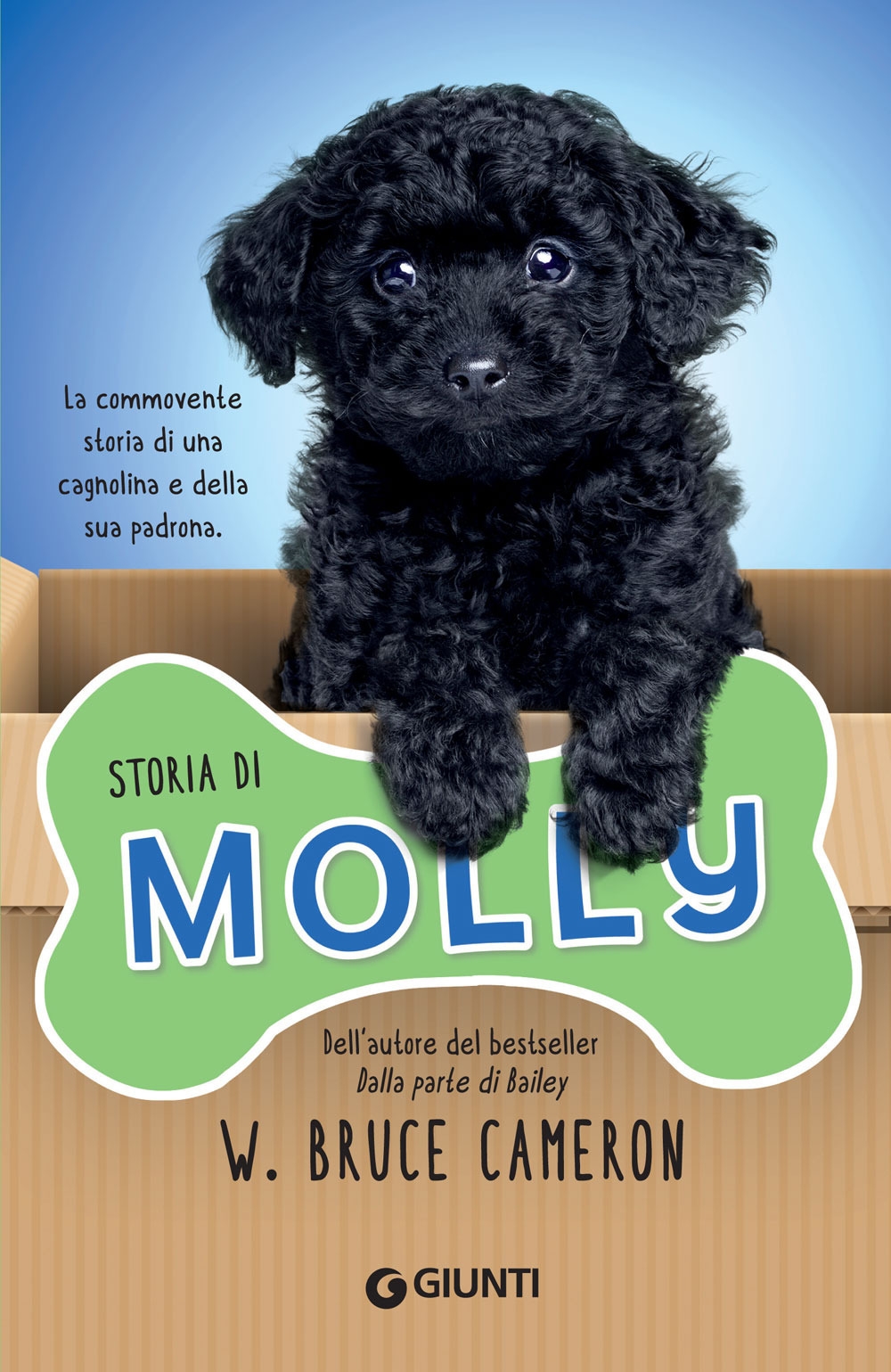 Storia di Molly Storia di Molly