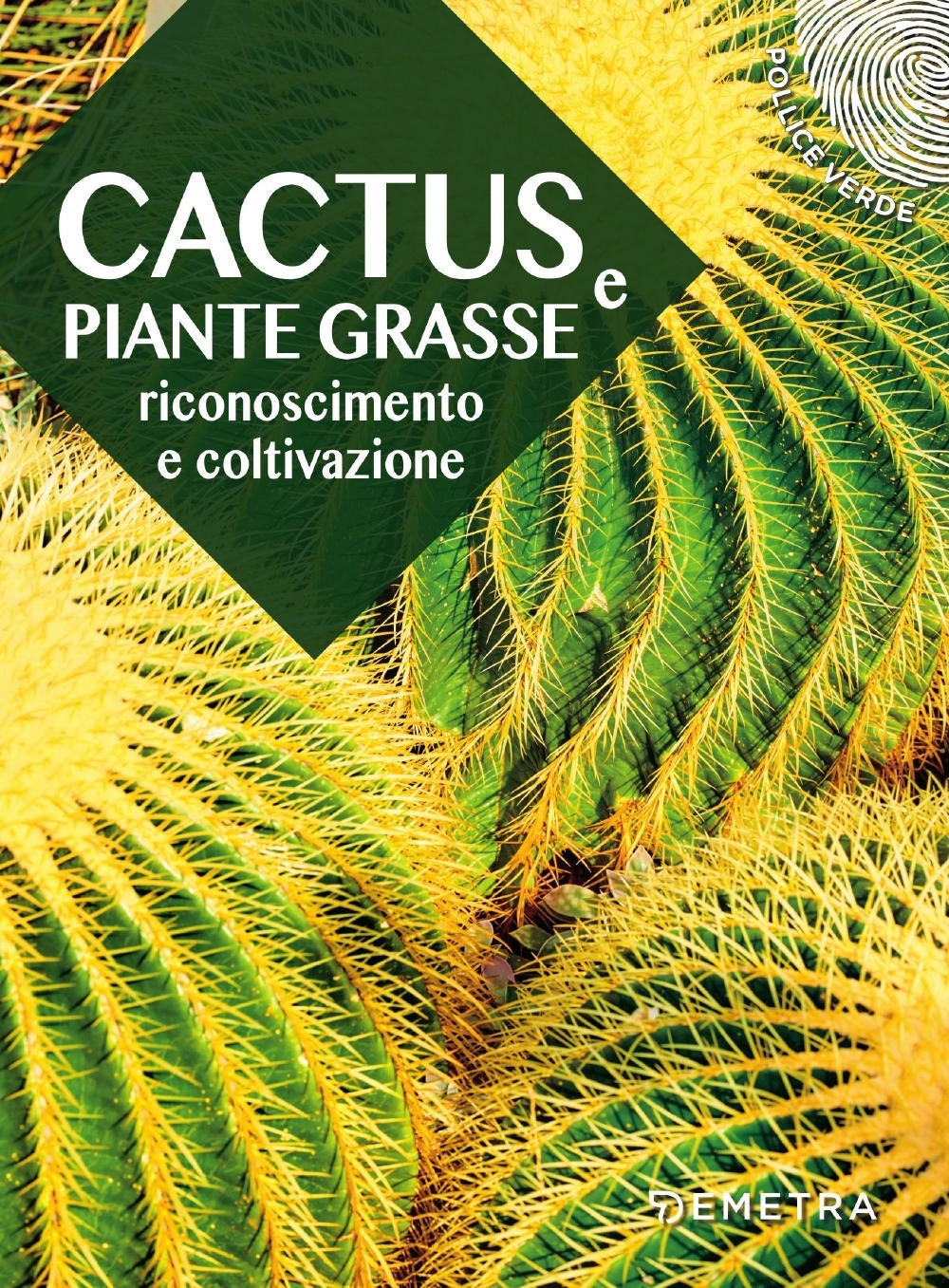 Cactus e piante grasse. Riconoscimento e coltivazione Cactus e piante grasse. Riconoscimento e coltivazione