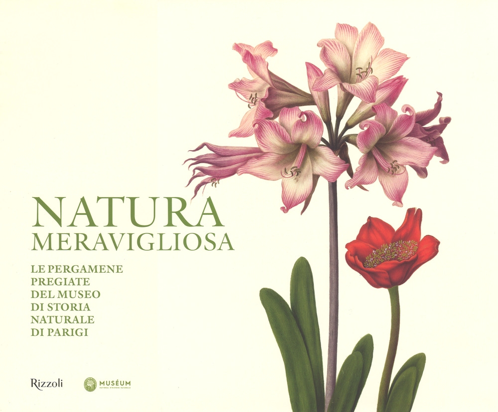 Natura meravigliosa. Le pergamene pregiate del Museo di storia naturale di Parigi