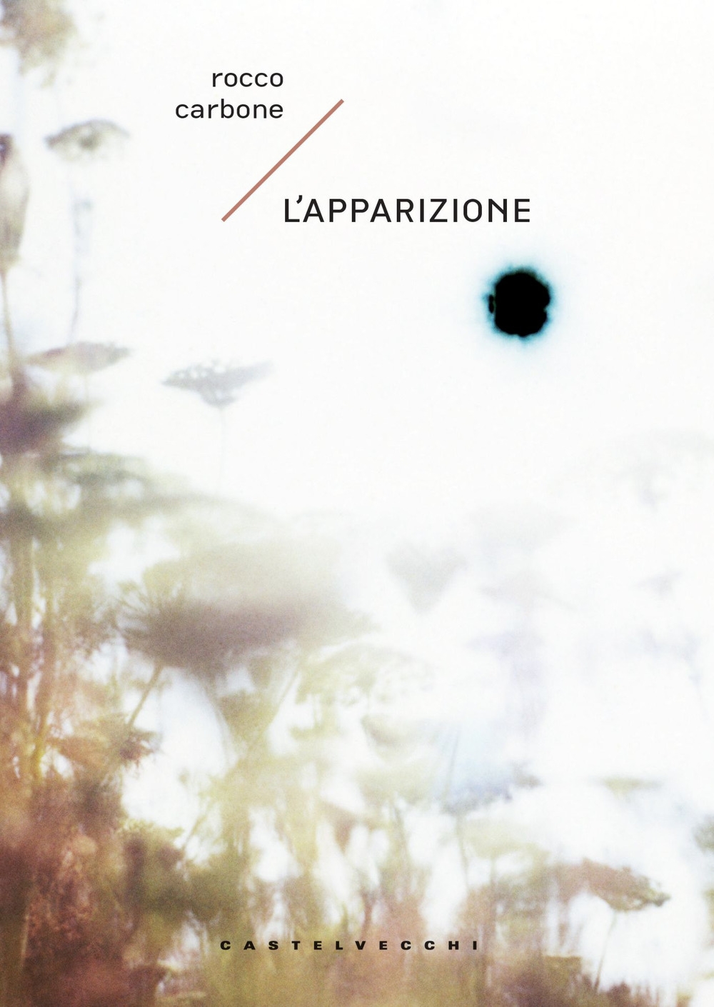 L'apparizione L'apparizione