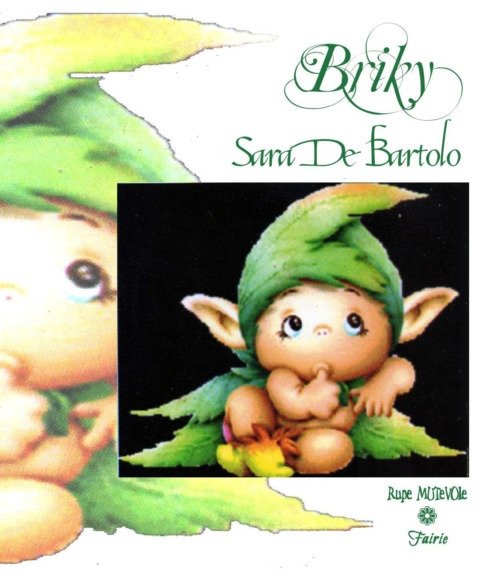 Briky. Ediz. illustrata Briky. Ediz. illustrata