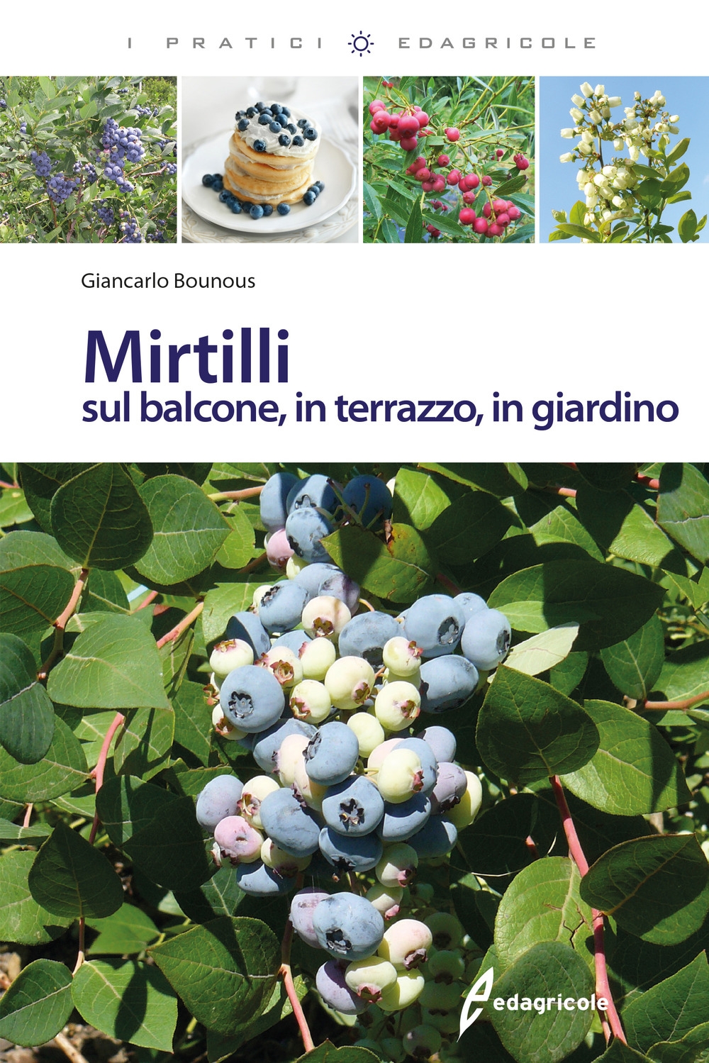Mirtilli sul balcone, in terrazzo, in giardino Mirtilli sul balcone, in terrazzo, in giardino