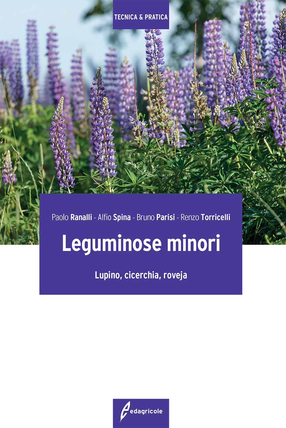 Leguminose minori. Lupino, cicerchia, roveja Leguminose minori. Lupino, cicerchia, roveja