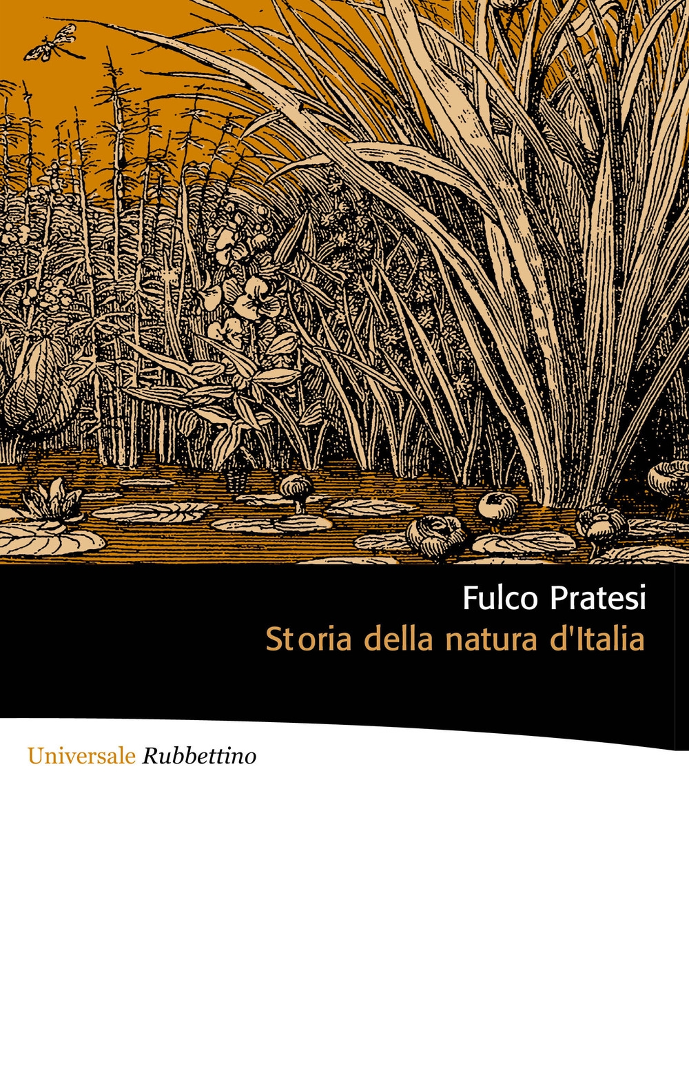Storia della natura d'Italia Storia della natura d'Italia