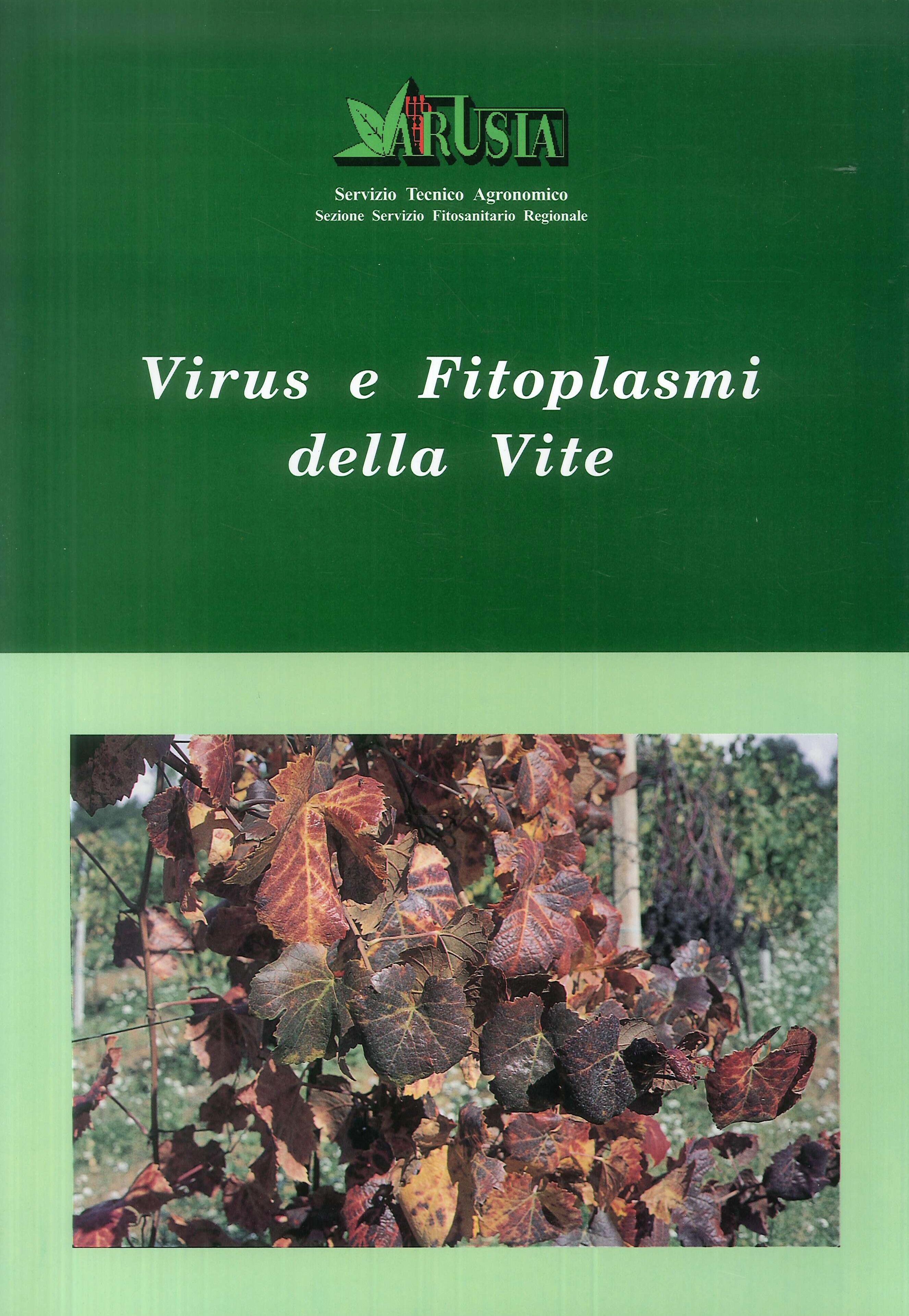 Virus e Fitoplasmi della Vite Virus e Fitoplasmi della Vite