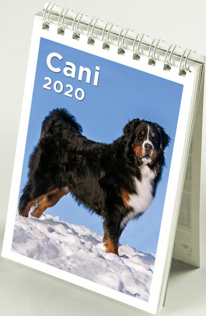 Calendario Mini Cani 2020