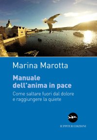 Manuale dell'anima in opace. Come saltare fuori dal dolore e raggiungere la quiete
