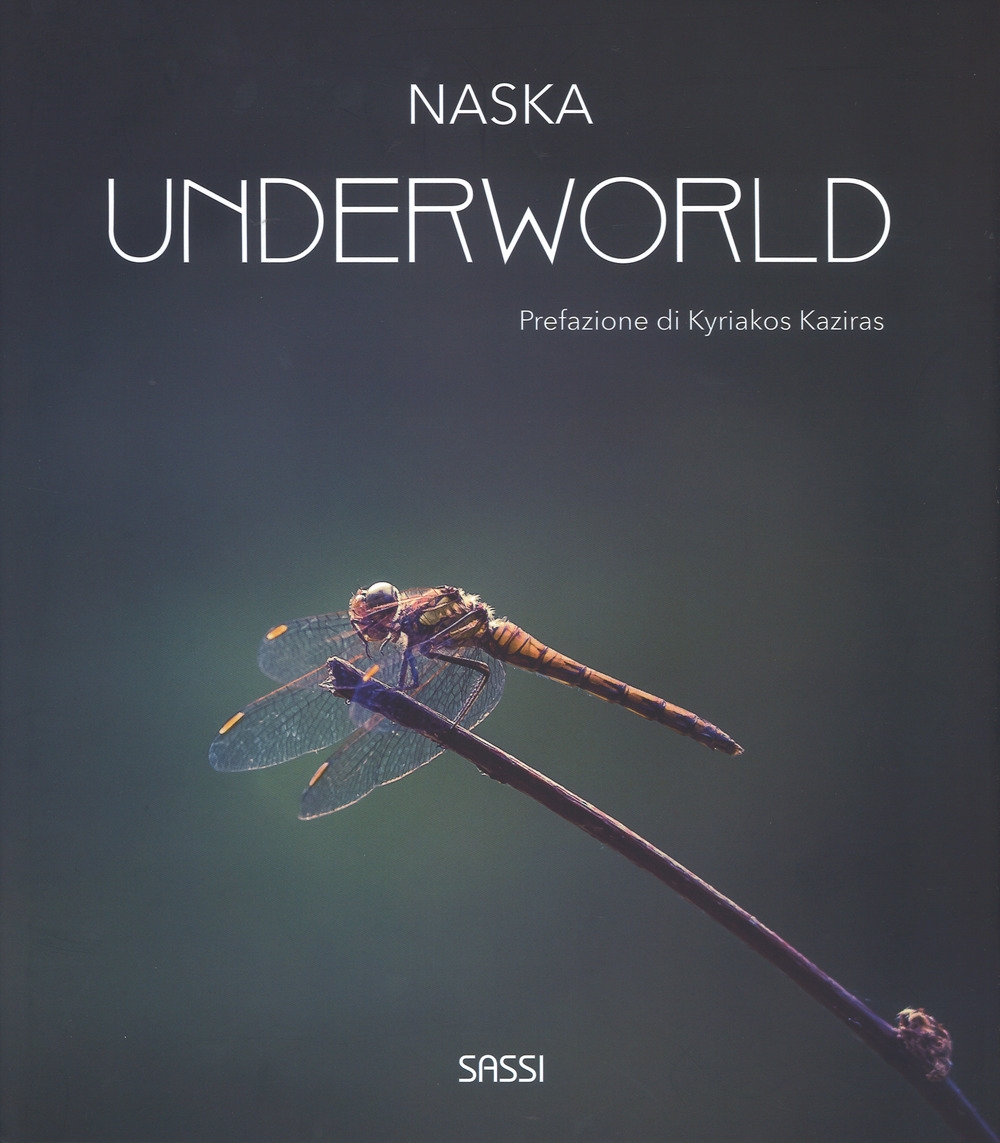 Underworld. Ediz. illustrata Underworld. Ediz. illustrata