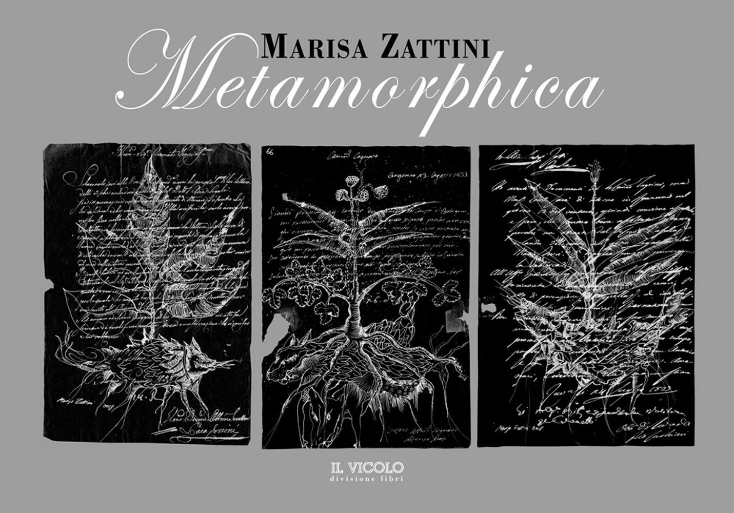 Metamorphica Metamorphica