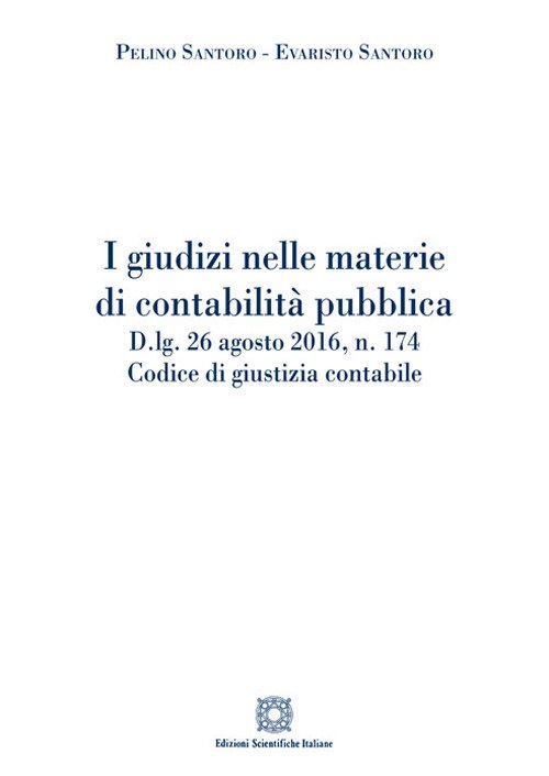 I giudizi nelle materie di contabilità pubblica I giudizi nelle materie di contabilità pubblica