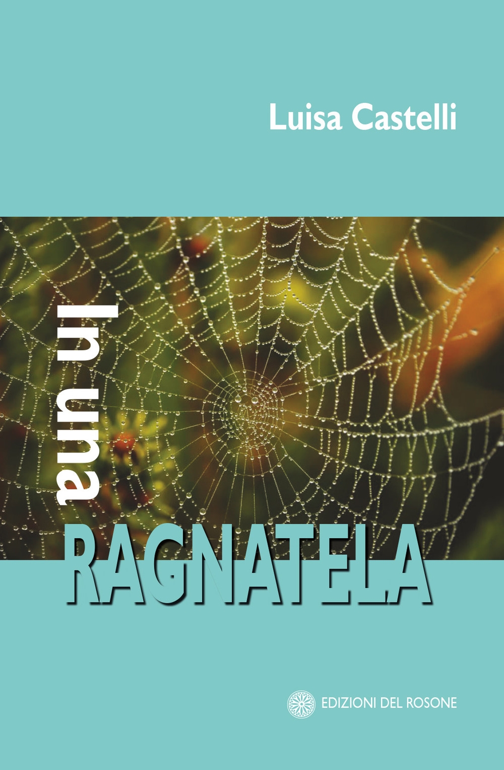 In una ragnatela In una ragnatela