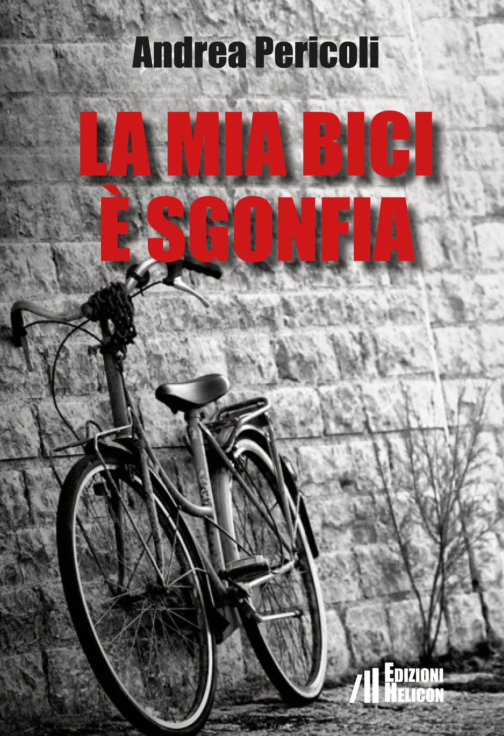 La mia bici è sgonfia La mia bici è sgonfia