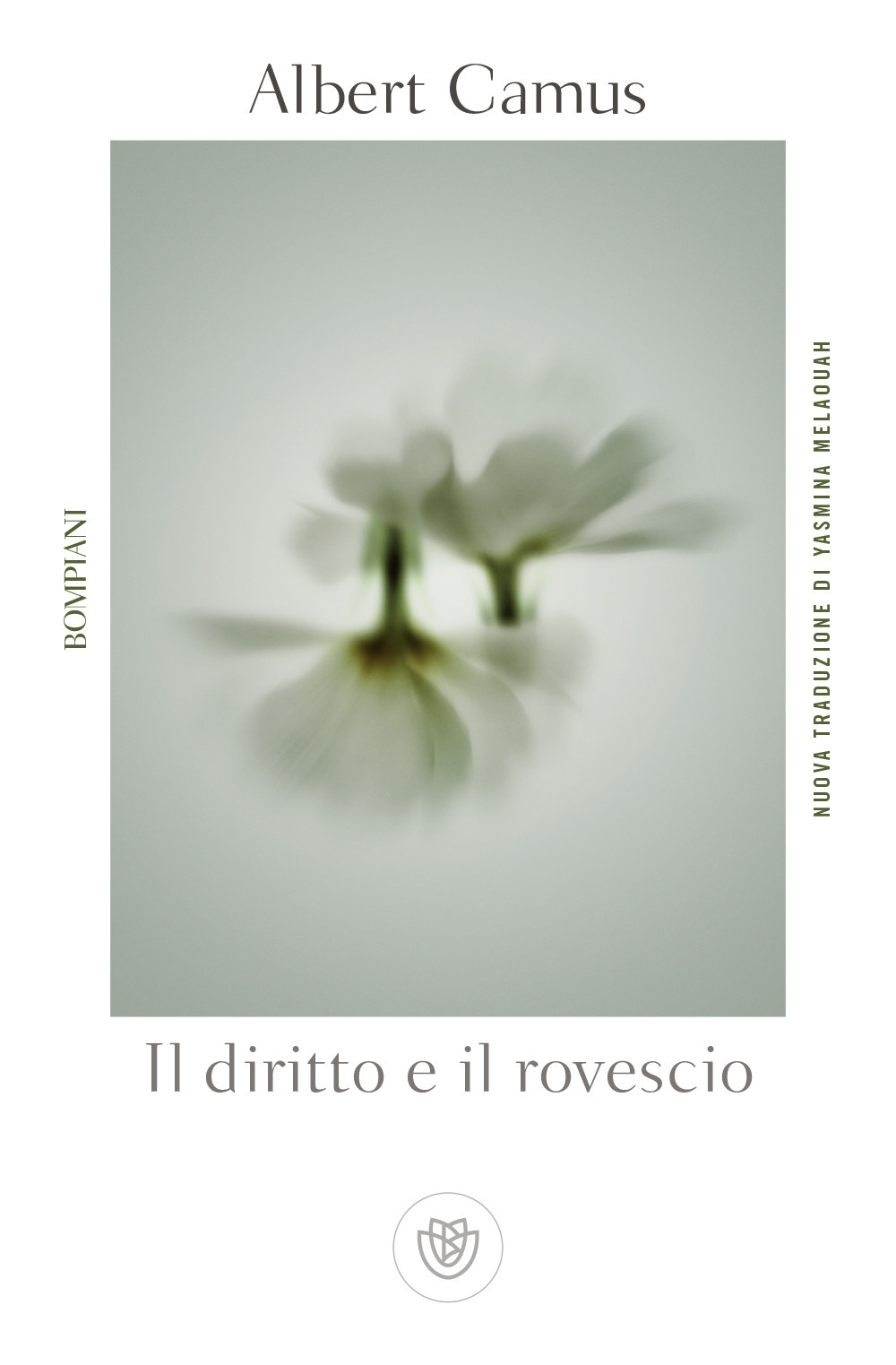 Il diritto e il rovescio Il diritto e il rovescio