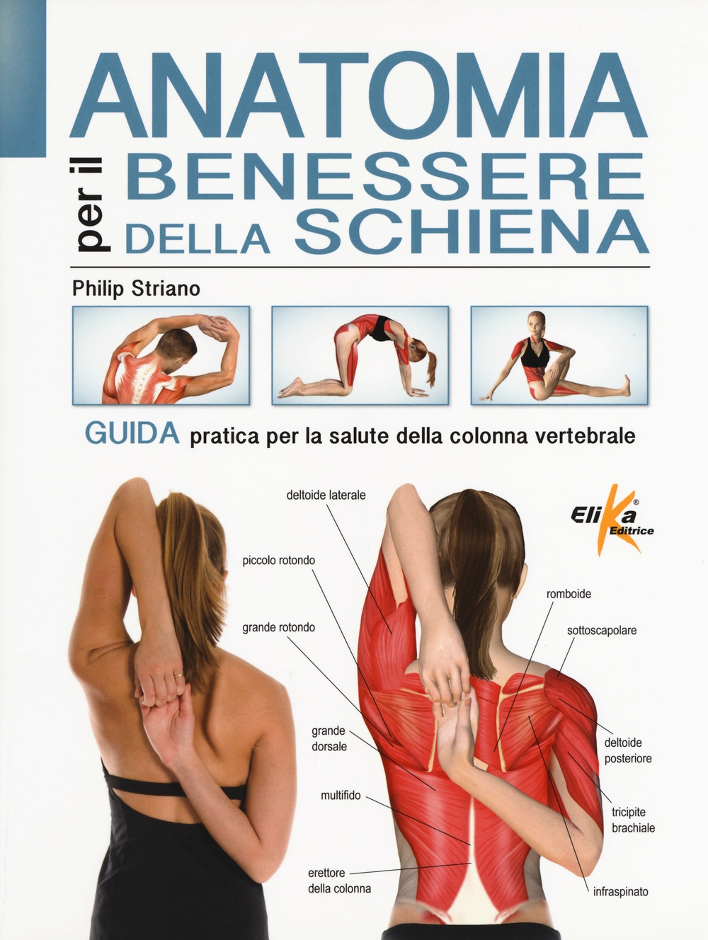 Anatomia per il benessere della schiena. Guida pratica per la salute della colonna vertebrale. Ediz. a colori Anatomia per il benessere della schiena. Guida pratica per la salute della colonna vertebrale. Ediz. a colori