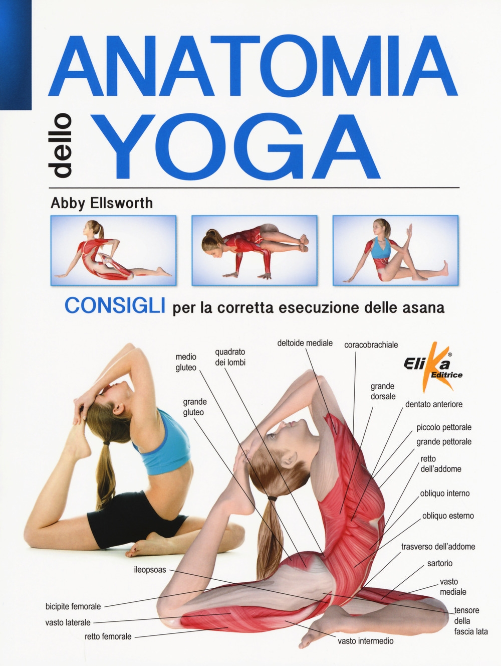 Anatomia dello yoga. Consigli per la corretta esecuzione delle asana. Ediz. a colori Anatomia dello yoga. Consigli per la corretta esecuzione delle asana. Ediz. a colori