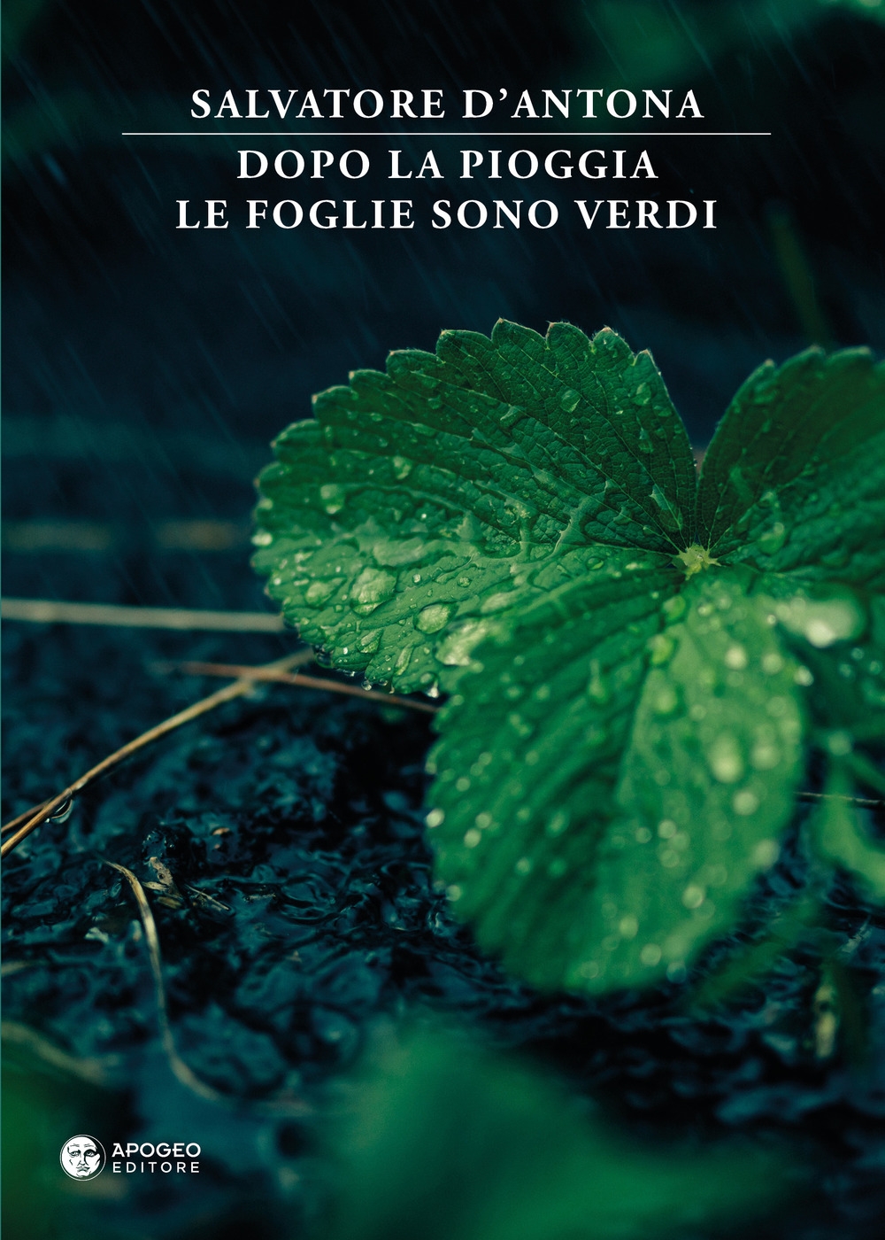 Dopo la pioggia le foglie sono verdi Dopo la pioggia le foglie sono verdi