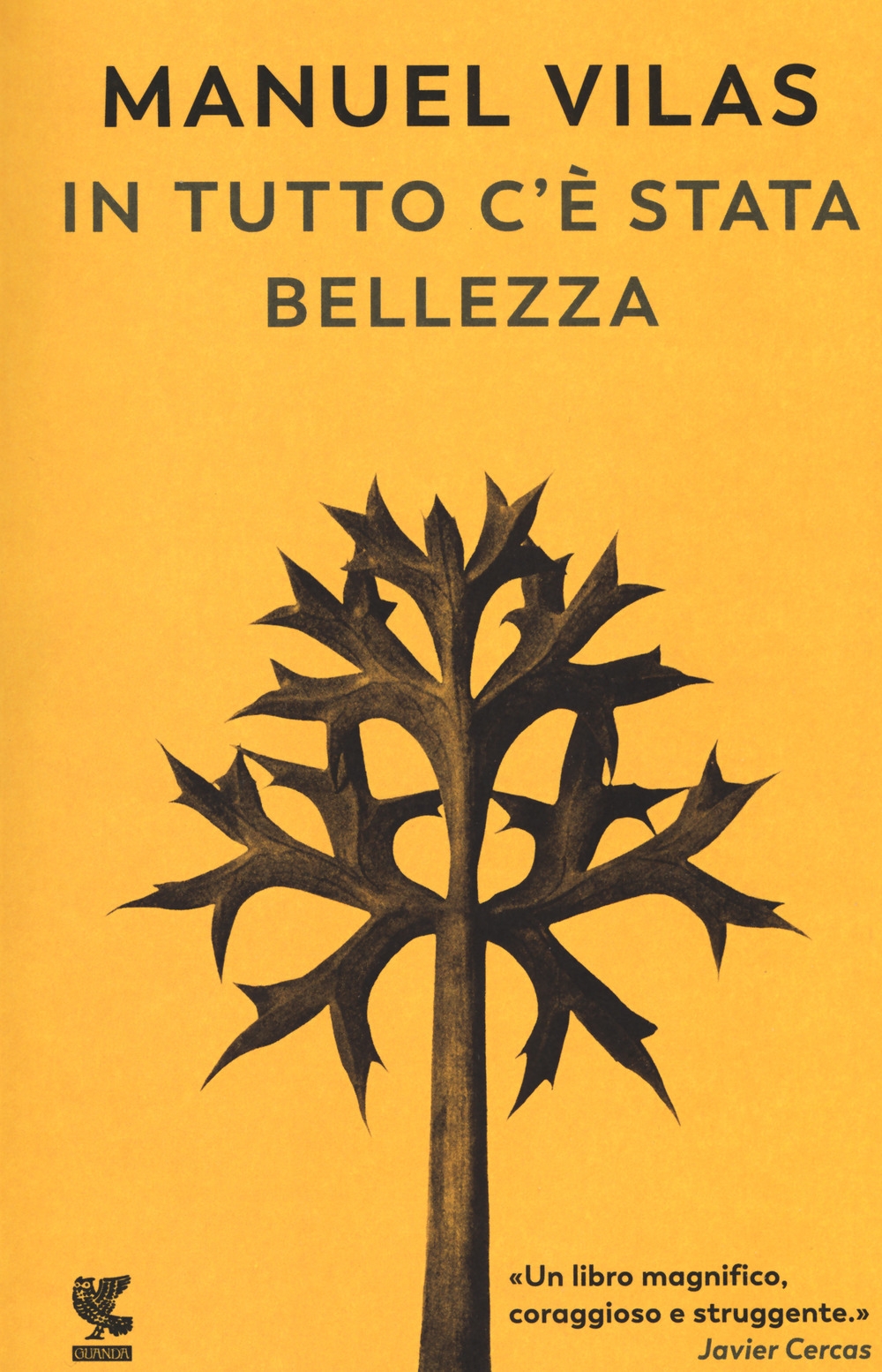 In tutto c'è stata bellezza In tutto c'è stata bellezza
