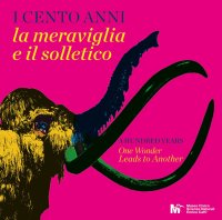I Cento Anni. La Meraviglia e il solletico. A Hundred years One Wonder Leads ti Another
