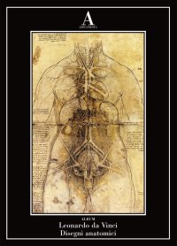 Disegni anatomici.